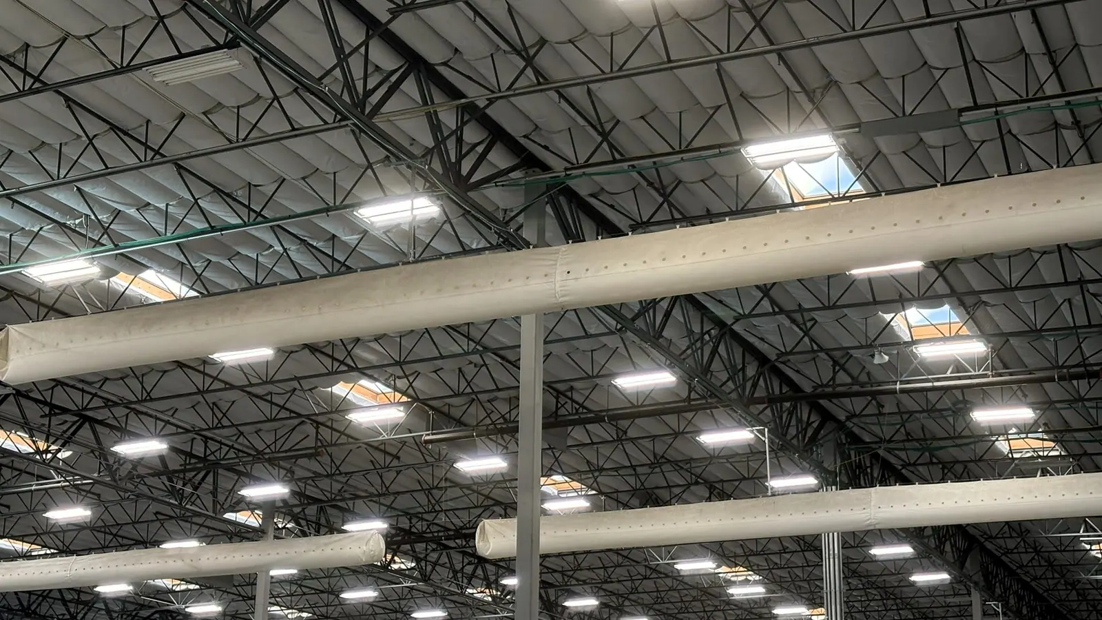Warehouse ceiling lighting and exposed roof structure
